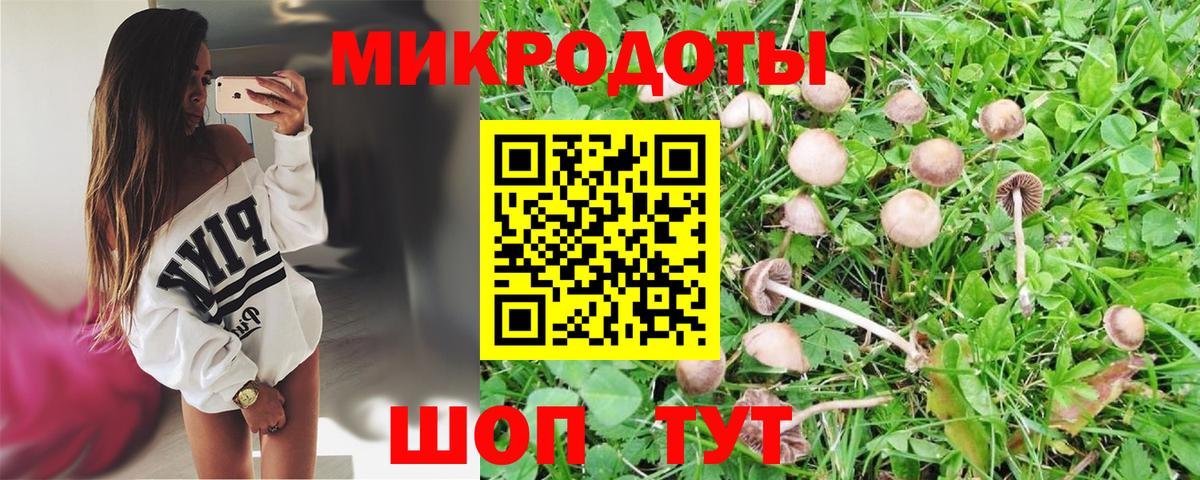 Вятские Поляны  Галлюциногенные грибы Cubensis  Вход с VPN  Галлюциногенные грибы ЛСД 